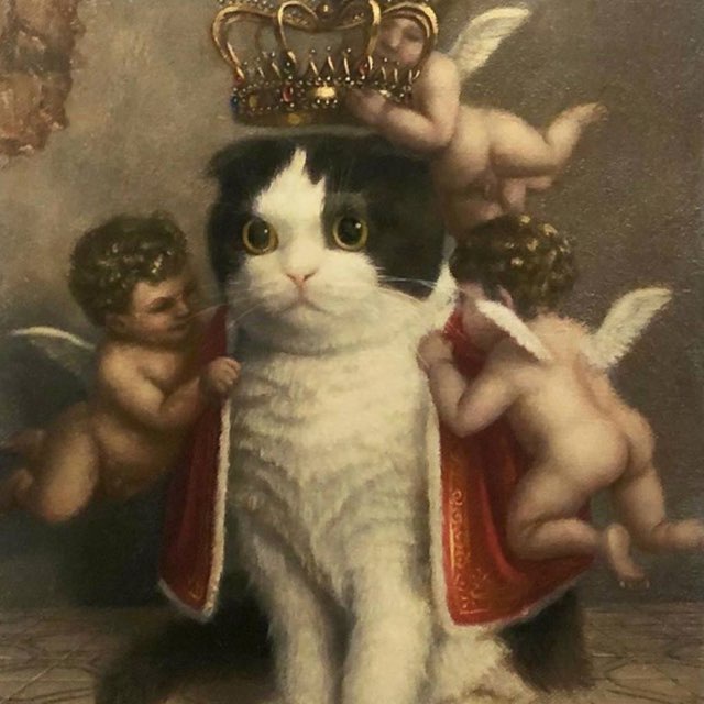 Дамир Мертл